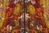 Red/Yellow Jasper Replaced Petrified Wood Bookends - Oregon #111096-2